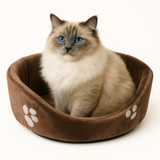 Лежанка для кошек «Кошкин дом» с электрообогревом Триумф: фото Лежанка для кошек «Кошкин дом» с электрообогревом Триумф: фото